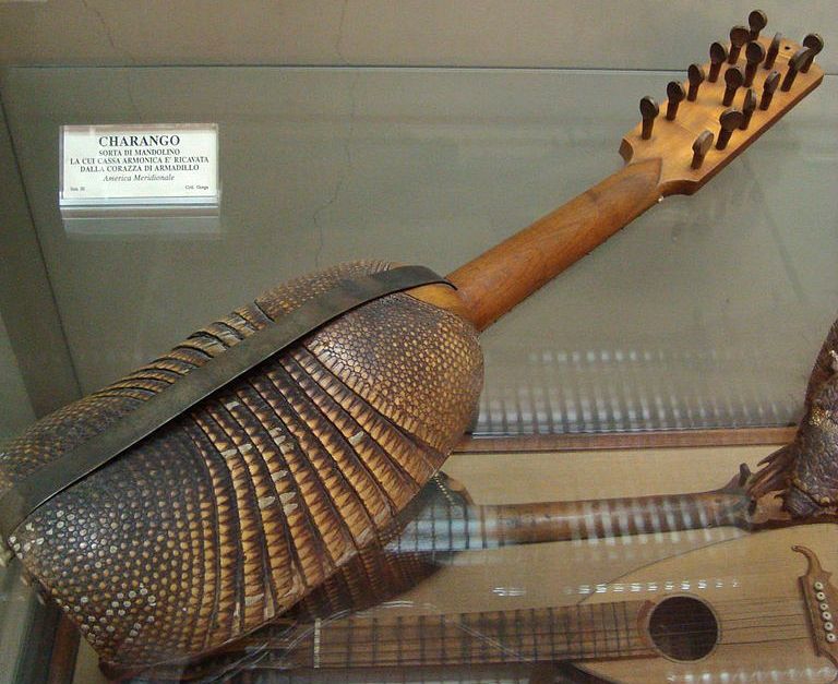 Charango, a stringed musical instrument where the belly is created from the shell of an armadillo and attached to a guitar type neck