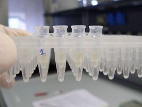 test tubes photo