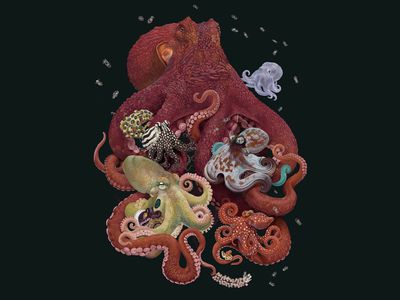 Biodiversity art by Zoe Keller
