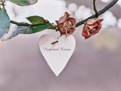 Close-Up Of Heart Shape With Text On Leaves