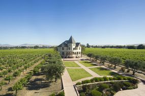 Concannon Vineyard