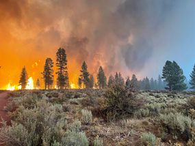 In this handout provided by the USDA Forest Service, the Bootleg Fire burns on July 12, 2021 in Bly, Oregon. The Bootleg Fire has has spread over 212,377 acres, making it the largest among the dozens of blazes burning in the western U.S. fueled by record temperatures and drought.