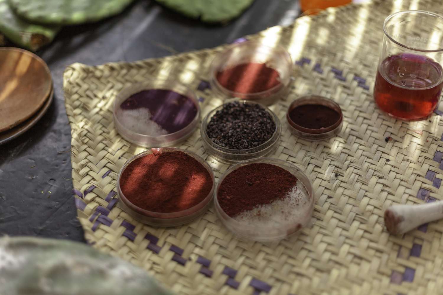 Carmine pigments and dried cochineal insects in Mexico