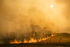 Flames and smoke from wildfires cover the landscape in California