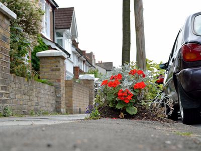 Guerrilla gardening - flowers brighten up a suburban road in London.