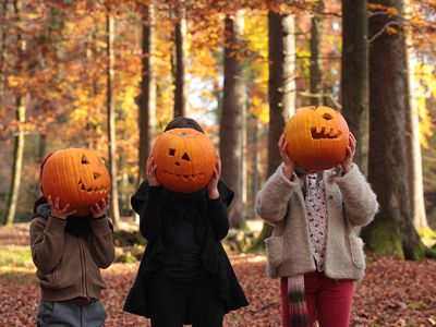 three children hold up jack-o-lantern pumpkins in front of face for Halloween