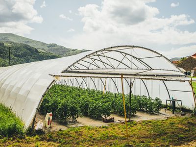 Greenhouse