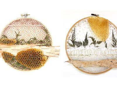 honeycomb honeybee art by Ava Roth