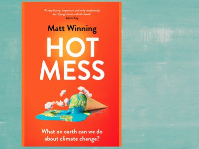 Hot Mess book cover