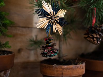 christmas ornaments and pinecones hang from living potted fir tree
