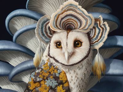 hybrid lifeforms oil paintings by Jon Ching