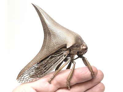 cast metal sculptures of insects and cells by Dr. Allan Drummond