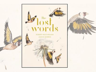 Lost Words book cover