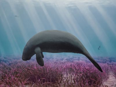 Eremozoic digital paintings by Jim Naughten