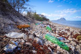 Mauritius litter
