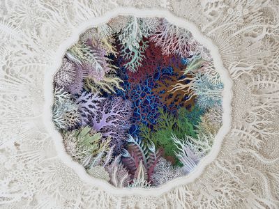 Paper Cut Coral Sculptures by Rogan Brown