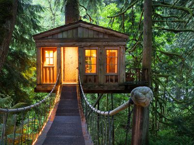 Treehouse